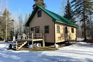 Tbd Tangnes Forest Rd, Roosevelt, MN 56673 - Photo 30