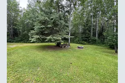 Tbd Tangnes Forest Road, Roosevelt, MN 56673 - Photo 6