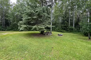 Tbd Tangnes Forest Rd, Roosevelt, MN 56673 - Photo 6