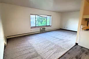 122 Spring St, River Falls, WI 54022 - Photo 2