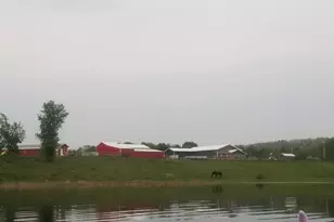 27301 315th St, Erhard, MN 56534 - Photo 30