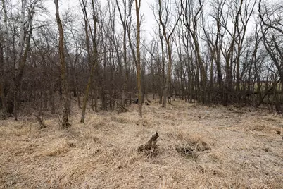 Lot 3 Saylers Beach Road, Lake Park, MN 56554 - Photo 4