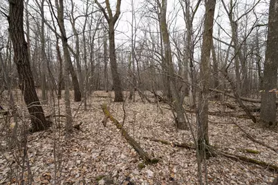 Lot 3 Saylers Beach Road, Lake Park, MN 56554 - Photo 6