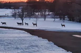 18720 114th St SE, Big Lake, MN 55309 - Photo 110