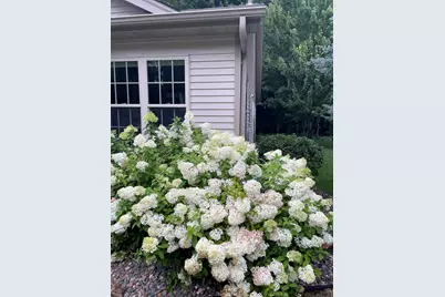 10850 Woodland Drive, Chisago City, MN 55013 - Photo 10