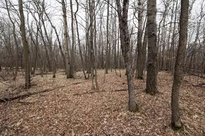 Lot 6 Saylers Beach Road, Lake Park, MN 56554 - Photo 4