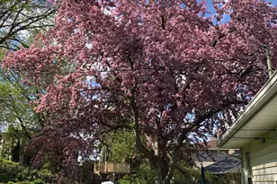 5616 Beard Ave S, Edina, MN 55410 - Photo 42