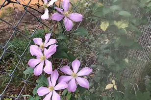 5616 Beard Ave S, Edina, MN 55410 - Photo 40