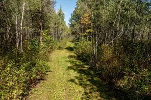 44047 Little Pine Rd, Emily, MN 56447 - Photo 8