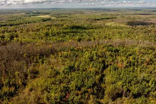 44047 Little Pine Rd, Emily, MN 56447 - Photo 60