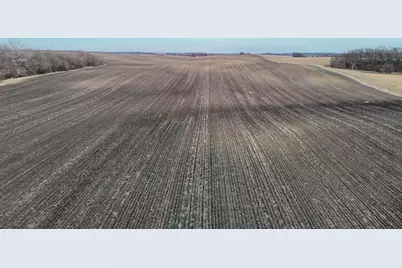 Tbd 135th Street, Twin Lakes, MN 56089 - Photo 6