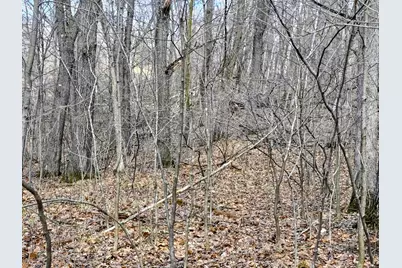 00 Highway W, Weyerhaeuser, WI 54895 - Photo 10