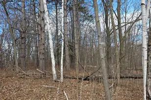 00 Hwy W, Weyerhaeuser, WI 54895 - Photo 1