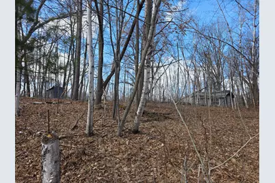 00 Highway W, Weyerhaeuser, WI 54895 - Photo 2