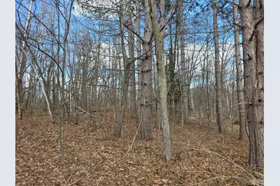 00 Highway W, Weyerhaeuser, WI 54895 - Photo 6