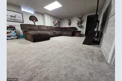 643 W Hall Avenue, Buffalo Lake, MN 55314 - Photo 18