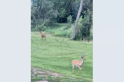 17556 300th Avenue, Starbuck, MN 56381 - Photo 36