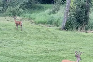 17556 300th Ave, Starbuck, MN 56381 - Photo 36