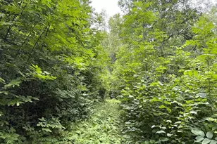 12755 57th Ave SW, Motley, MN 56466 - Photo 34