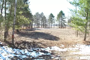 Tbd Pacer Dr, Browerville, MN 56438 - Photo 1