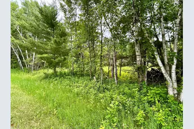 Tbd Pacer Drive, Browerville, MN 56438 - Photo 2