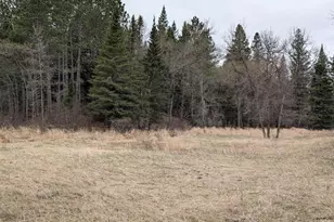 8832 River Rd, Angora, MN 55703 - Photo 40