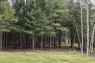 8832 River Rd, Angora, MN 55703 - Photo 48