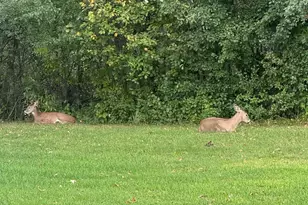 1618 Huron Dr, Detroit Lakes, MN 56501 - Photo 24