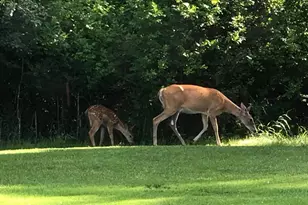 1618 Huron Dr, Detroit Lakes, MN 56501 - Photo 22