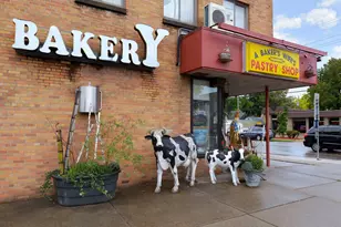 4445 31st Ave S, Minneapolis, MN 55406 - Photo 32