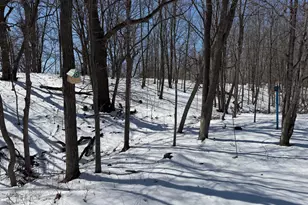 32755 Little Owl Rd, Vergas, MN 56587 - Photo 38