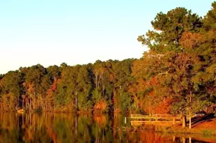 5834 County 4 NE, Remer, MN 56672 - Photo 14