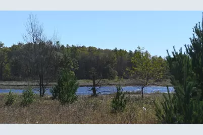 28274 Orb Drive, Browerville, MN 56438 - Photo 16