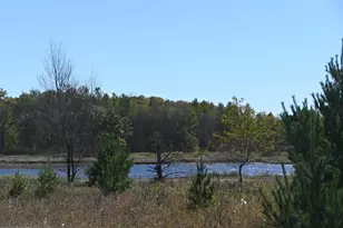 28274 Orb Dr, Browerville, MN 56438 - Photo 16