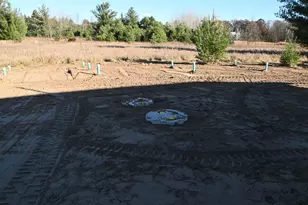 28274 Orb Dr, Browerville, MN 56438 - Photo 14