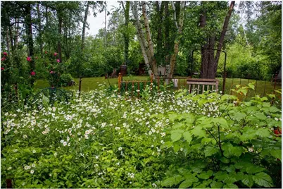 39437 County Road 3, Crosslake, MN 56442 - Photo 40