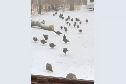 38798 County Road 2, Saint Joseph, MN 56374 - Photo 76