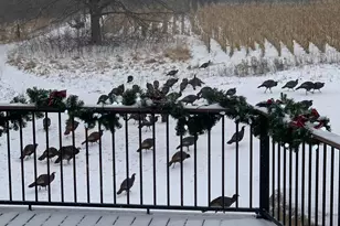 38798 County Road 2, Saint Joseph, MN 56374 - Photo 78