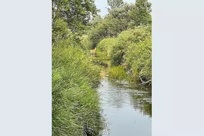 16913 220th Street, Milaca, MN 56353 - Photo 2