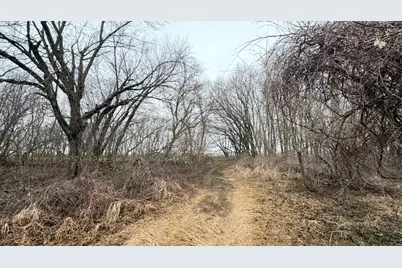 52377 120th Avenue, West Concord, MN 55985 - Photo 8