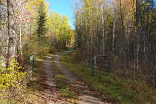 11521 Aspen Way, Orr, MN 55771 - Photo 6