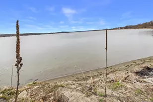 30007 County 2, Grey Eagle, MN 56336 - Photo 58