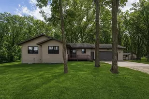 40142 244th St, Battle Lake, MN 56515 - Photo 2