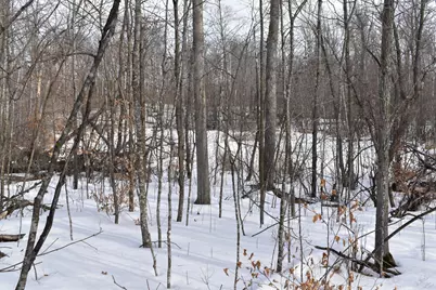 Tbd County Highway 26, Rochert, MN 56578 - Photo 8