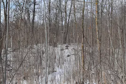 Tbd County Highway 26, Rochert, MN 56578 - Photo 6