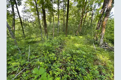 Tbd County Highway 26, Rochert, MN 56578 - Photo 22
