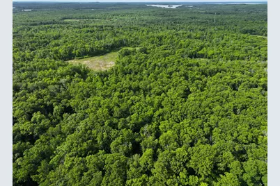 Tbd County Highway 26, Rochert, MN 56578 - Photo 6