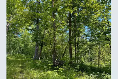 Tbd County Highway 26, Rochert, MN 56578 - Photo 28