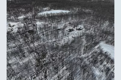 Tbd County Highway 26, Rochert, MN 56578 - Photo 2