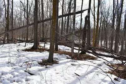 Tbd County Highway 26, Rochert, MN 56578 - Photo 10